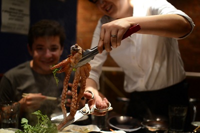 Octopus Octopus